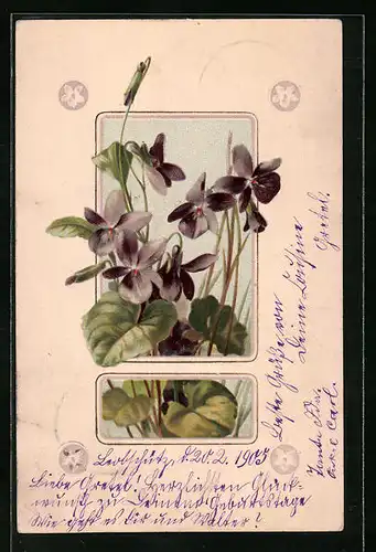 AK Veilchen mit grünen Blättern