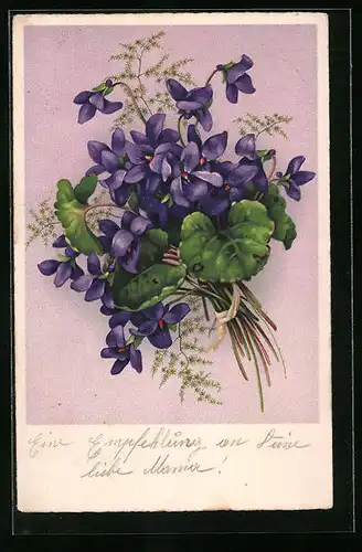 AK Strauss aus Veilchen mit grünen Blättern