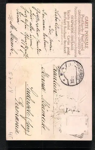 AK Veilchen mit lila Schleifen