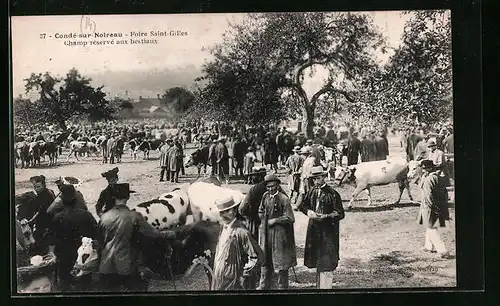 AK Condé-sur-Noireau, Foire Saint-Gilles - Champ reserve aux bestiaux