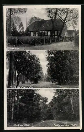 AK Güsen, Forsthaus, Partien aus dem Walde