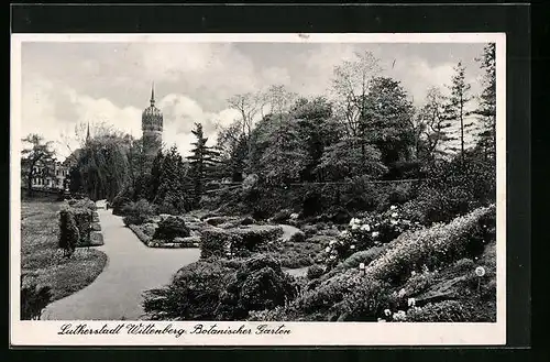 AK Wittenberg, der Botanische Garten der Lutherstadt
