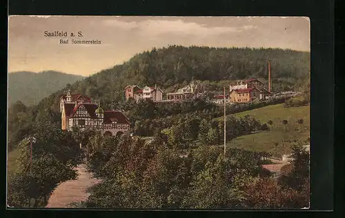 AK Saalfeld a. S., Blick auf die Villen am Hang