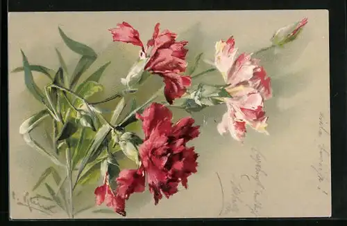 Präge-Künstler-AK Catharina Klein: rote und rosa farbene Blumen in voller Pracht