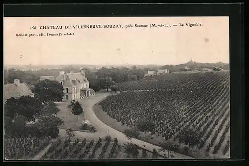 AK Villeneuve-Souzay, Chateau, Le Vignoble