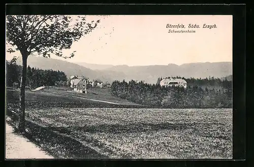 AK Bärenfels / Sächs. Erzgeb., Panorama mit Schwesternheim