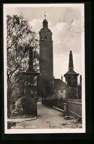 AK Lützen, Schloss