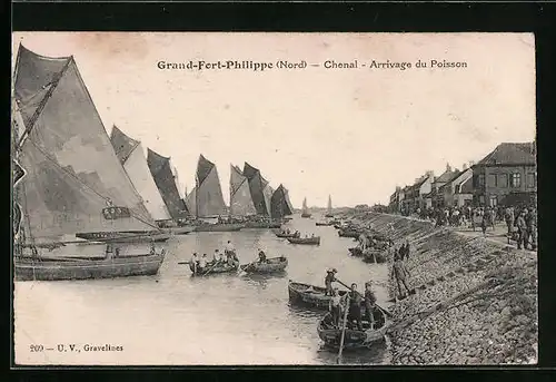 AK Grand-Fort-Philippe, Chenal, Arrivage du Poisson