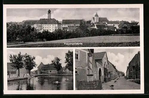 AK Frauenpriessnitz, Teilansicht, Strassenpartie mit Denkmal, Uferpartie