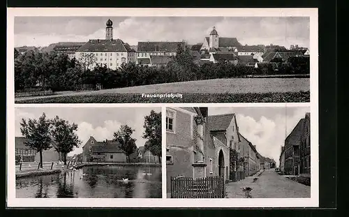 AK Frauenpriessnitz, Teilansicht, Strassenpartie mit Denkmal, Uferpartie