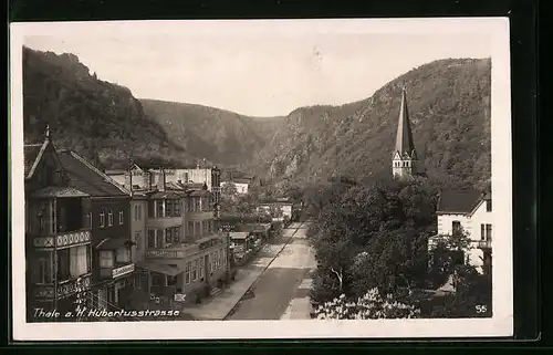 AK Thale a. H., Hubertusstrasse aus der Vogelschau