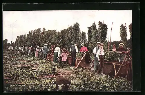 AK Hop-Picking, Set of Pickers at Work, Hopfen