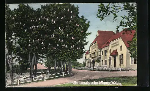 AK Wien, Gasthof Meierei Sophienalpe im Wiener Wald