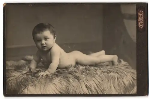 Fotografie Carl Donat, Chemnitz, Äuss. Klosterstr. 34, Nackiges Baby liegt bäuchlings auf Fell