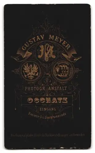 Fotografie Gustav Meyer, Oschatz, Breitestrasse 8, Junge Frau mit Dutt und ernstem Gesicht