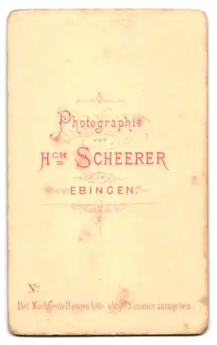 Fotografie H. Scheerer, Ebingen, Freundlicher junger Mann mit Haartolle und Fliege