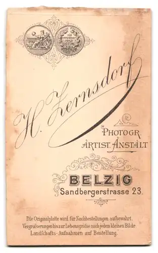 Fotografie H. Zernsdorf, Belzig, Sandbergerstrasse23, Junge Dame mit Spitzenkragen und Puffärmeln