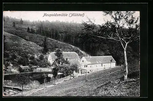 AK Eisenberg, Naupoldsmühle im Mühltal