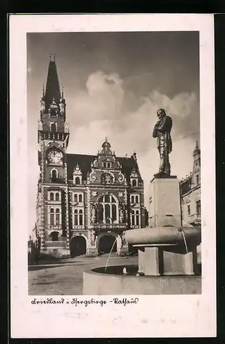 AK Friedland, Rathaus mit Wallensteinbrunnen