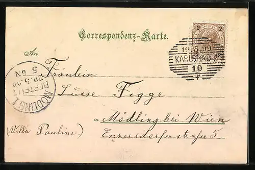 AK Karlsbad, Blick in die obere Parkstrasse