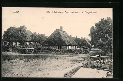 AK Niebüll, Alte Holsteinische Bauernhäuser an der Hauptstrasse