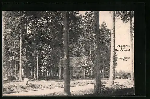 AK Freudenstadt, Waldpartie mit Rippoldsauer Hütte