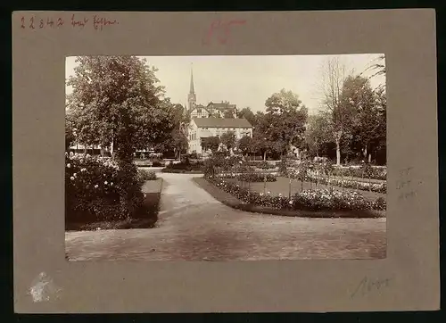 Fotografie Brück & Sohn Meissen, Ansicht Bad Elster, Rosengarten mit Geschäftshaus und Kirchturm