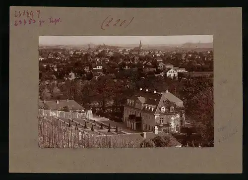 Fotografie Brück & Sohn Meissen, Ansicht Radebeul-Kötzschenbroda, Schloss von einem Weinberg gesehen