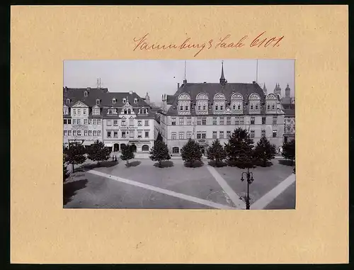 Fotografie Brück & Sohn Meissen, Ansicht Naumburg / Saale, Marktplatz mit Loewen-Apotheke & Ladengeschäfte