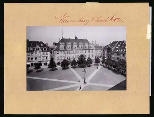 Fotografie Brück & Sohn Meissen, Ansicht Naumburg / Saale, Marktplatz mit Loewen-Apotheke & Rathaus