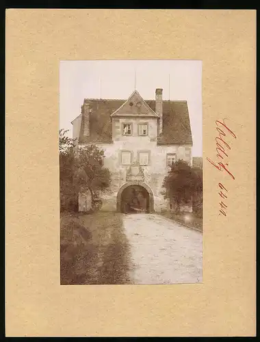Fotografie Brück & Sohn Meissen, Ansicht Colditz i. Sa., Blick auf den Eingang zum Tiergarten von Zschirla