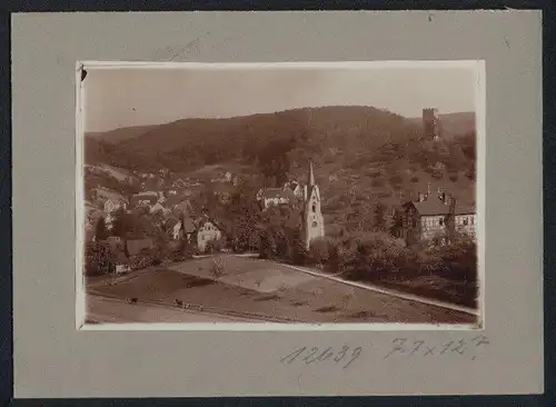 Fotografie Brück & Sohn Meissen, Ansicht Tautenburg i. Thür., Panoramaansicht des Ortes mit Kirche