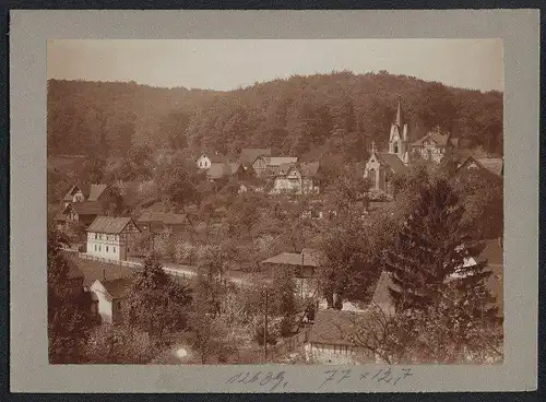 Fotografie Brück & Sohn Meissen, Ansicht Tautenburg i. Thür., Blick auf den Ort mit Kirche und Friedhof