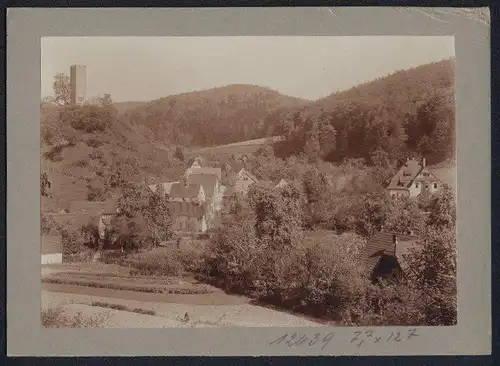 Fotografie Brück & Sohn Meissen, Ansicht Tautenburg i. Thür., Teilansicht des Ortes mit Wohnhäusern und altem Turm