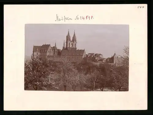 Fotografie Brück & Sohn Meissen, Ansicht Meissen, Baumblüte mit Blick auf die Albrechtsburg und den Dom