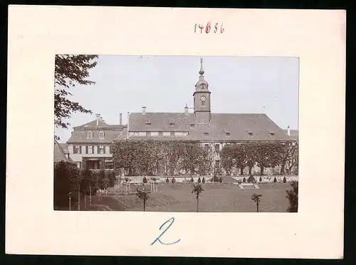 Fotografie Brück & Sohn Meissen, Ansicht Seusslitz a. Elbe, Blick vom Garten auf das Schloss