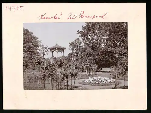 Fotografie Brück & Sohn Meissen, Ansicht Komotau, Partie im Rosenpark mit Pavillon