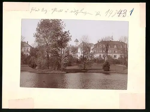 Fotografie Brück & Sohn Meissen, Ansicht Bischofswerda i. Sa., Partie im Friedrich-August-Park mit Blick in die Stadt
