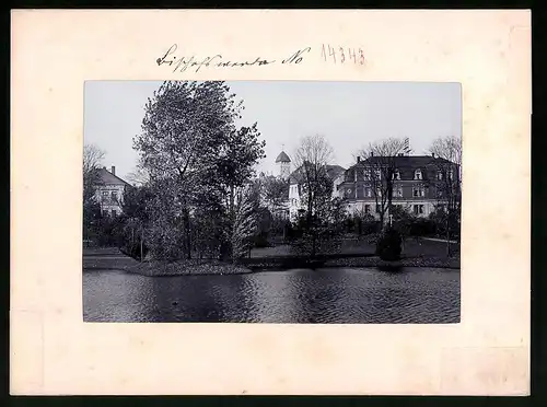 Fotografie Brück & Sohn Meissen, Ansicht Bischofswerda i. Sa., Blick vom Friedrich-August-Park in die Stadt