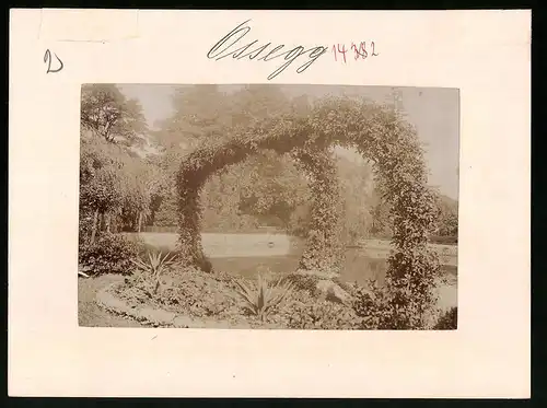 Fotografie Brück & Sohn Meissen, Ansicht Ossegg, Partie an den Teichanlagen im Klosterpark