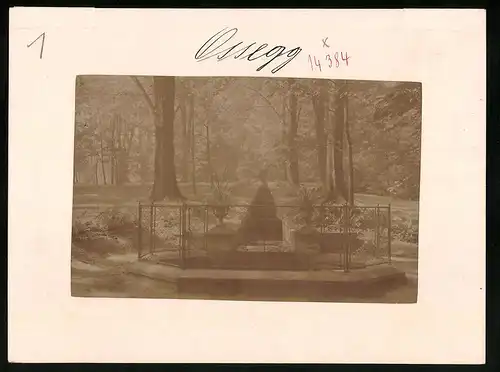 Fotografie Brück & Sohn Meissen, Ansicht Ossegg, Partie im Klosterpark mit Quelle