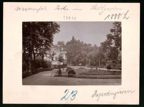 Fotografie Brück & Sohn Meissen, Ansicht Weissenfels a. Saale, Partie im Stadtgarten mit Villa
