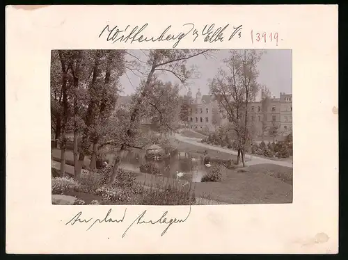 Fotografie Brück & Sohn Meissen, Ansicht Wittenberg, Blick aus den Anlagen auf Wohnhäuser