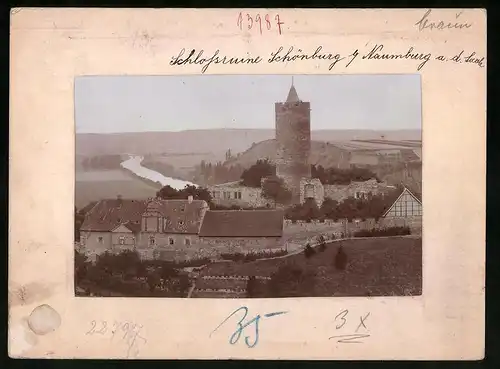 Fotografie Brück & Sohn Meissen, Ansicht Naumburg a. d. Saale, Blick auf die Schlossruine Schönburg