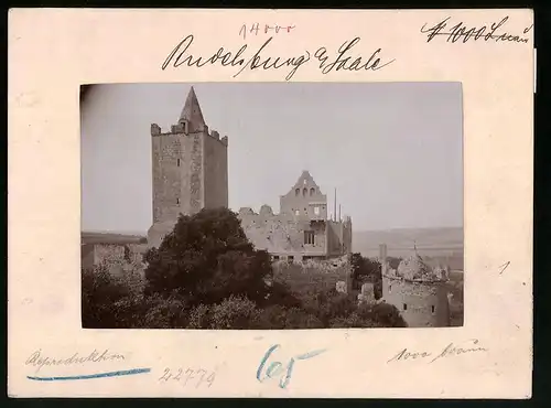 Fotografie Brück & Sohn Meissen, Ansicht Rudelsburg a. Saale, Blick auf die Ruine Rudelsburg