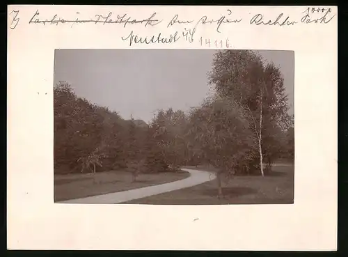 Fotografie Brück & Sohn Meissen, Ansicht Neustadt i. Sa., Partie im Arthur-Richter-Park