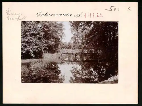 Fotografie Brück & Sohn Meissen, Ansicht Bad Liebenwerda, alte Holzbrücke im Wäldchen