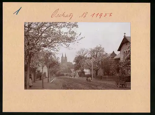 Fotografie Brück & Sohn Meissen, Ansicht Oschatz, Blick in die Dresdner Strasse während der Baumblüte