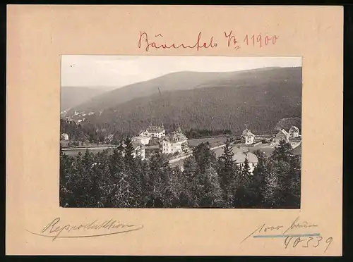 Fotografie Brück & Sohn Meissen, Ansicht Bärenfels i. Erzg., Blick nach Kipsdorf und der Tellkoppe