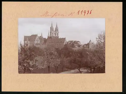 Fotografie Brück & Sohn Meissen, Ansicht Meissen i. Sa., Blick auf den Burgberg mit Albrechtsburg, Kornhaus und Domtürme
